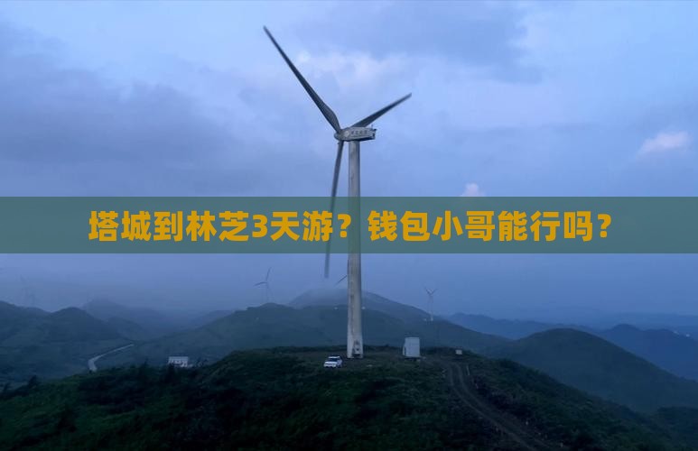 塔城到林芝3天游？钱包小哥能行吗？