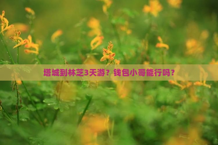 塔城到林芝3天游？钱包小哥能行吗？
