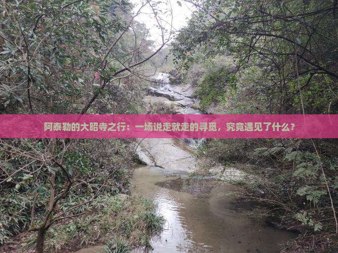 阿泰勒的大昭寺之行：一场说走就走的寻觅，究竟遇见了什么？