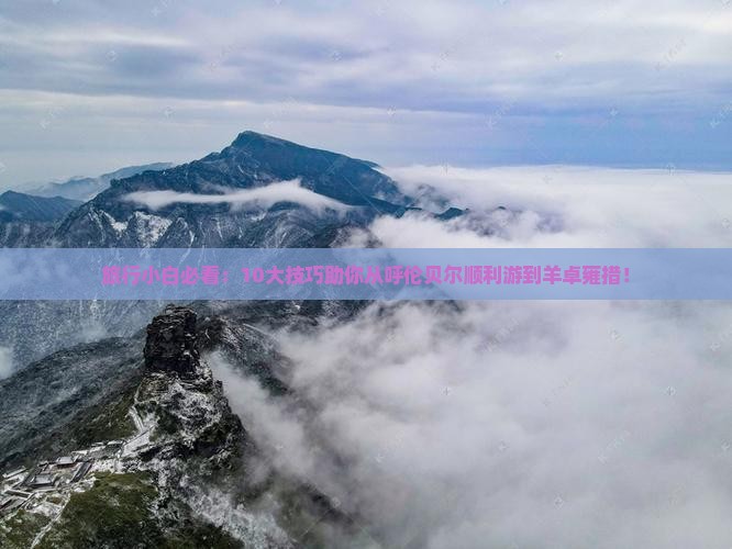 旅行小白必看：10大技巧助你从呼伦贝尔顺利游到羊卓雍措！