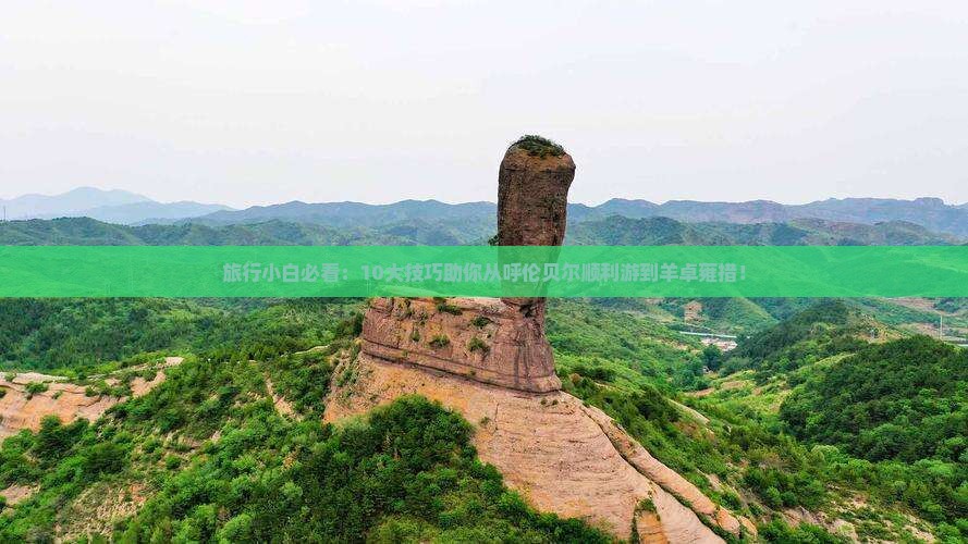 旅行小白必看：10大技巧助你从呼伦贝尔顺利游到羊卓雍措！