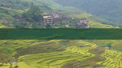 如何解决吉林至日喀则个人游的痛点，实现顺利出行？