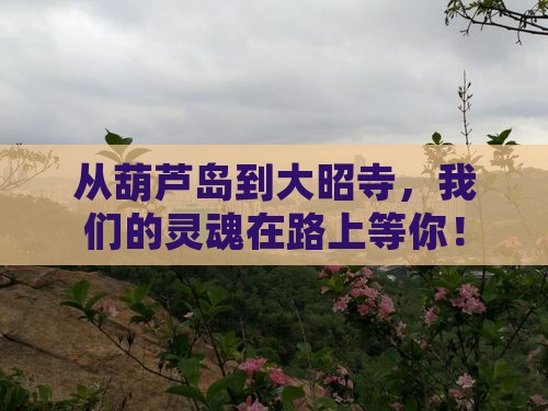 从葫芦岛到大昭寺，我们的灵魂在路上等你！