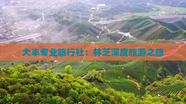 大丰专业旅行社：林芝深度旅游之旅