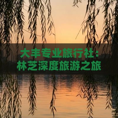 大丰专业旅行社：林芝深度旅游之旅