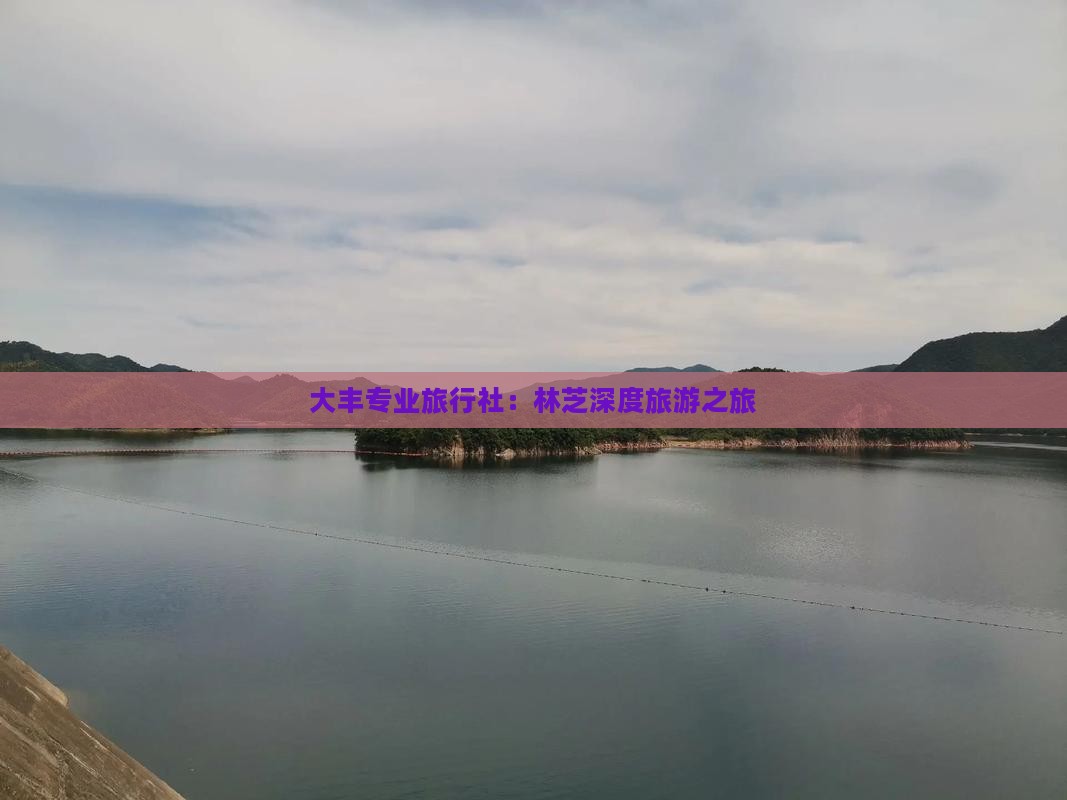 大丰专业旅行社：林芝深度旅游之旅