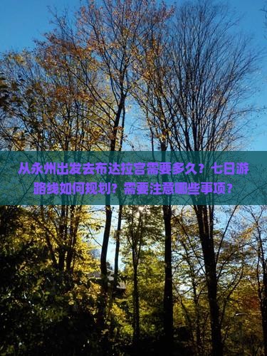 从永州出发去布达拉宫需要多久？七日游路线如何规划？需要注意哪些事项？
