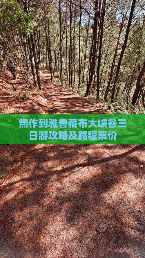 焦作到雅鲁藏布大峡谷三日游攻略及路程票价