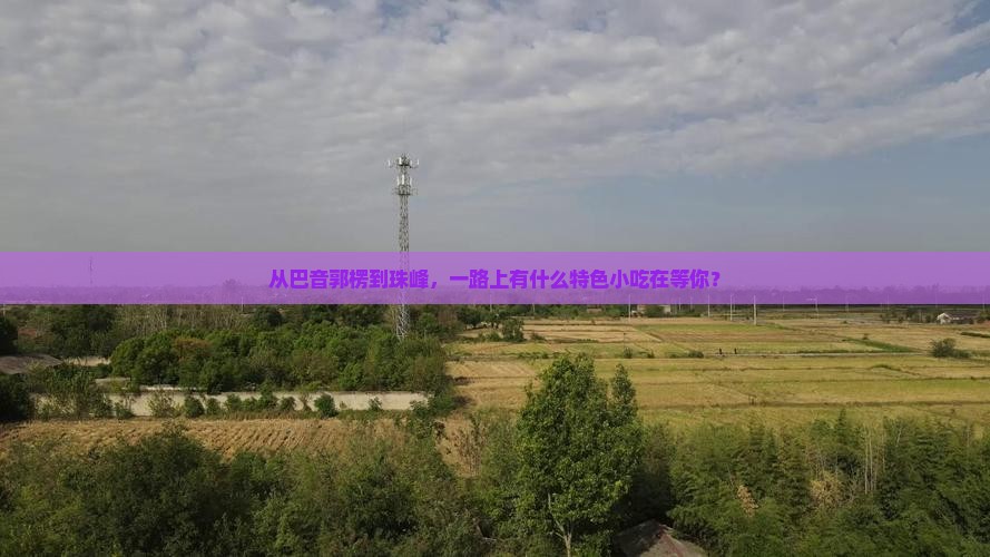 从巴音郭楞到珠峰，一路上有什么特色小吃在等你？