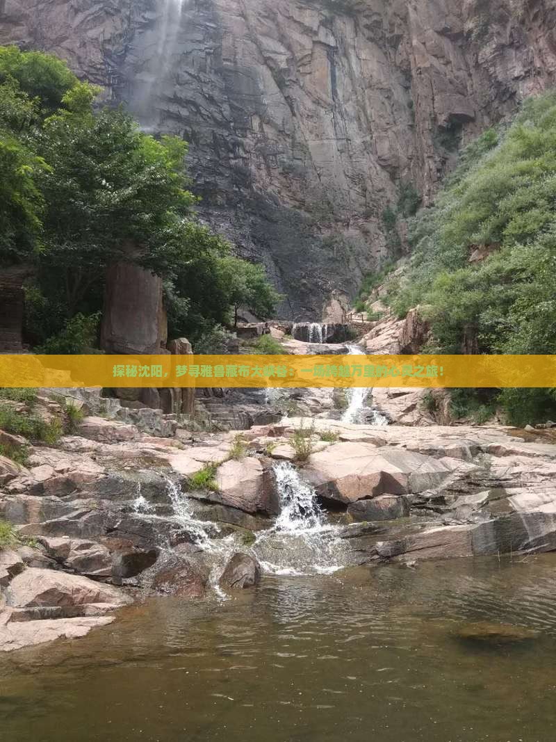 探秘沈阳，梦寻雅鲁藏布大峡谷：一场跨越万里的心灵之旅！