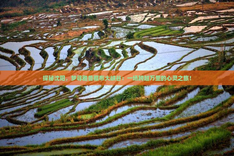 探秘沈阳，梦寻雅鲁藏布大峡谷：一场跨越万里的心灵之旅！