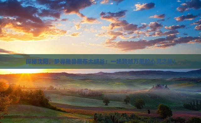 探秘沈阳，梦寻雅鲁藏布大峡谷：一场跨越万里的心灵之旅！