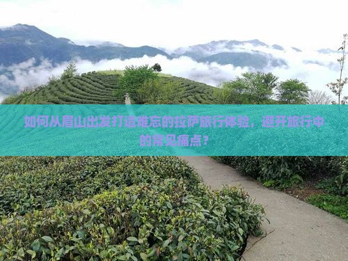 如何从眉山出发打造难忘的拉萨旅行体验，避开旅行中的常见痛点？