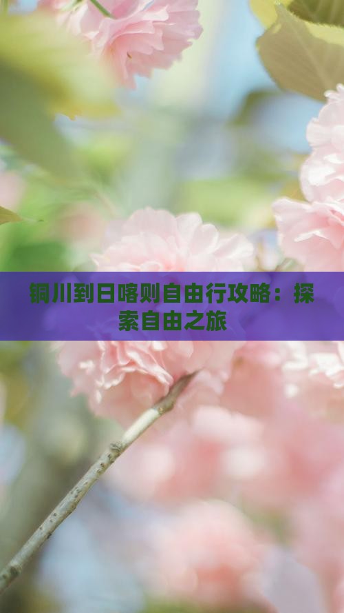 铜川到日喀则自由行攻略：探索自由之旅