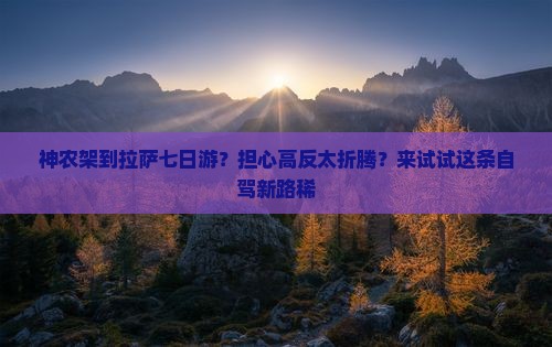 神农架到拉萨七日游？担心高反太折腾？来试试这条自驾新路稀