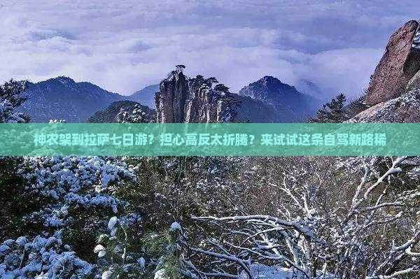 神农架到拉萨七日游？担心高反太折腾？来试试这条自驾新路稀