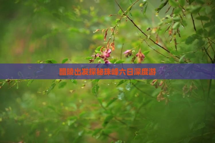 醴陵出发探秘珠峰六日深度游