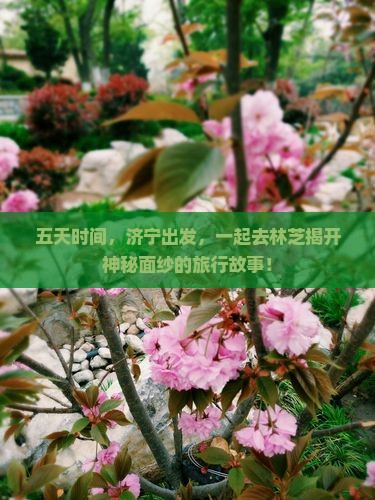 五天时间，济宁出发，一起去林芝揭开神秘面纱的旅行故事！