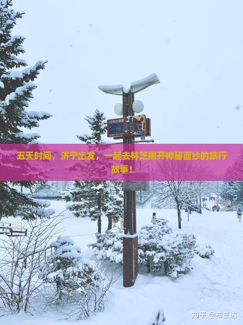 五天时间，济宁出发，一起去林芝揭开神秘面纱的旅行故事！