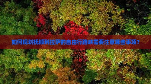 如何规划抚顺到拉萨的自由行路峡需要注意哪些事项？