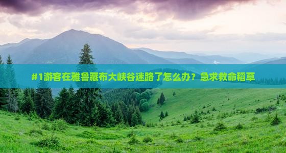 #1游客在雅鲁藏布大峡谷迷路了怎么办？急求救命稻草