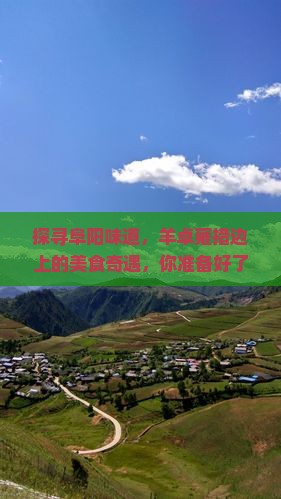 探寻阜阳味道，羊卓雍措边上的美食奇遇，你准备好了吗？