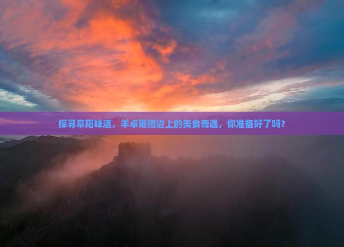 探寻阜阳味道，羊卓雍措边上的美食奇遇，你准备好了吗？