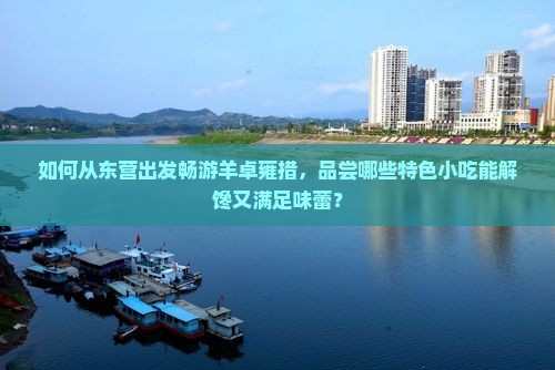 如何从东营出发畅游羊卓雍措，品尝哪些特色小吃能解馋又满足味蕾？