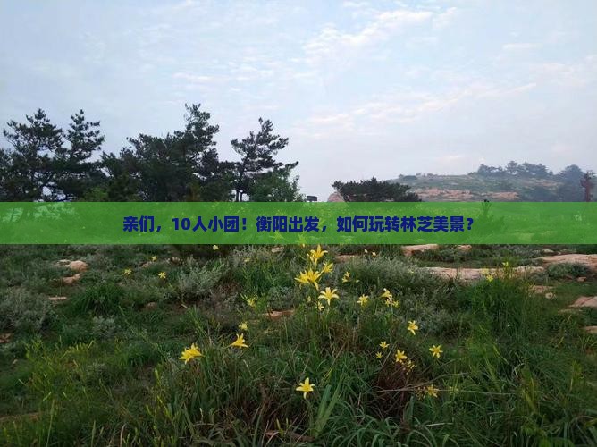 亲们，10人小团！衡阳出发，如何玩转林芝美景？