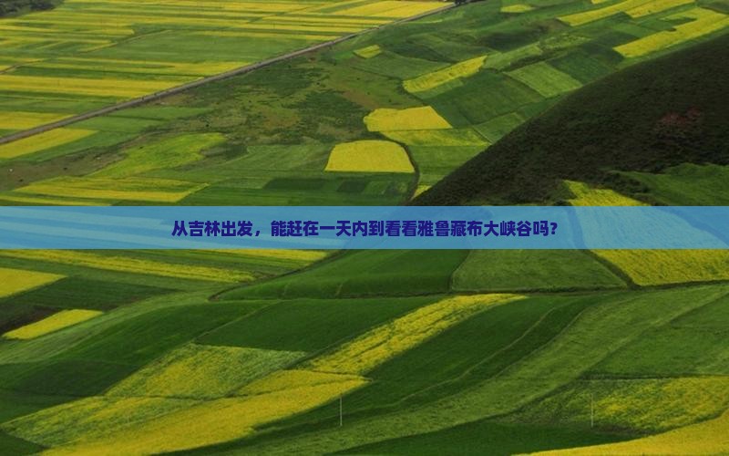 从吉林出发，能赶在一天内到看看雅鲁藏布大峡谷吗？
