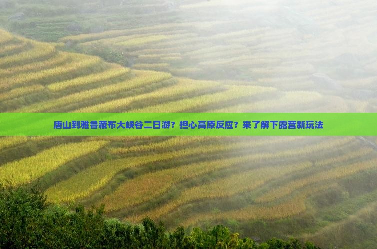 唐山到雅鲁藏布大峡谷二日游？担心高原反应？来了解下露营新玩法