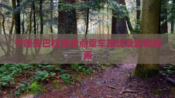 宁德去巴松措景点乘车路线及路程距离