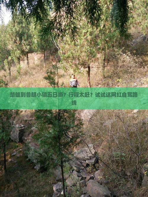 楚雄到鲁朗小镇五日游？行程太赶？试试这网红自驾路线