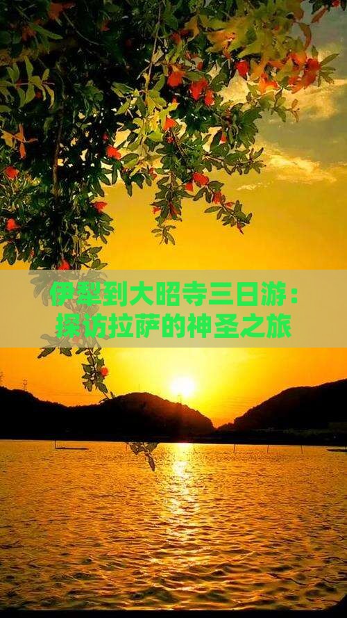 伊犁到大昭寺三日游：探访拉萨的神圣之旅