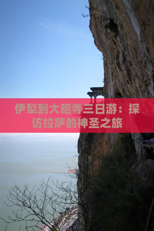伊犁到大昭寺三日游：探访拉萨的神圣之旅