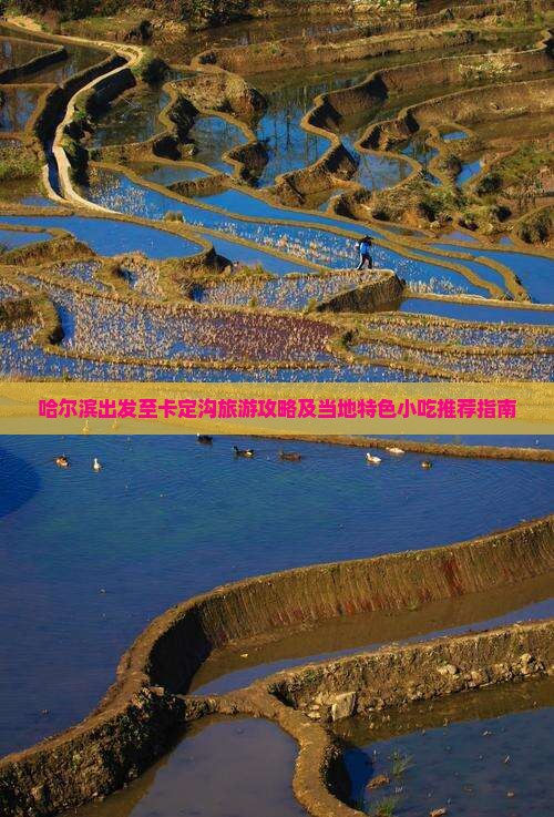 哈尔滨出发至卡定沟旅游攻略及当地特色小吃推荐指南