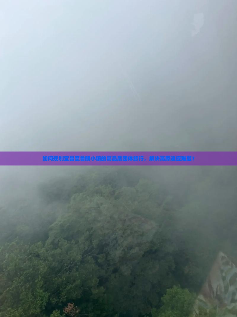 如何规划宜昌至鲁朗小镇的高品质团体旅行，解决高原适应难题？