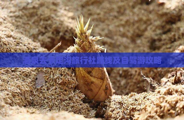 酒泉去卡定沟旅行社路线及自驾游攻略