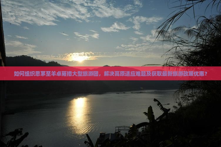 如何组织思茅至羊卓雍措大型旅游团，解决高原适应难题及获取最新旅游政策优惠？