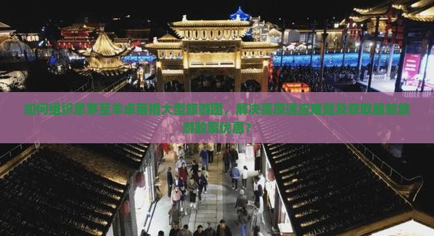 如何组织思茅至羊卓雍措大型旅游团，解决高原适应难题及获取最新旅游政策优惠？