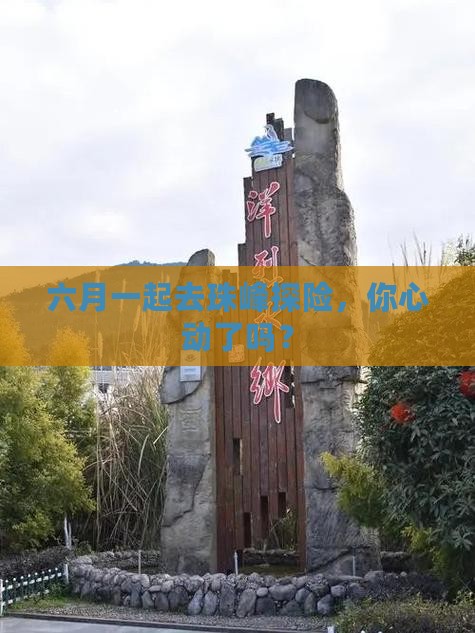 六月一起去珠峰探险，你心动了吗？