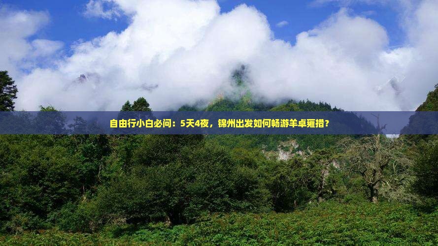 自由行小白必问：5天4夜，锦州出发如何畅游羊卓雍措？
