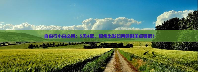 自由行小白必问：5天4夜，锦州出发如何畅游羊卓雍措？