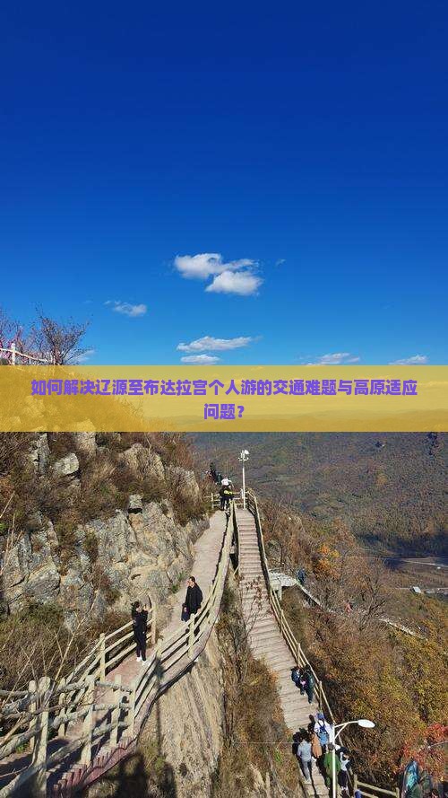 如何解决辽源至布达拉宫个人游的交通难题与高原适应问题？