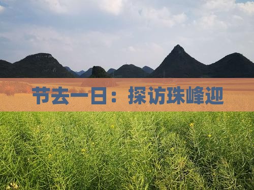 节去一日：探访珠峰迎