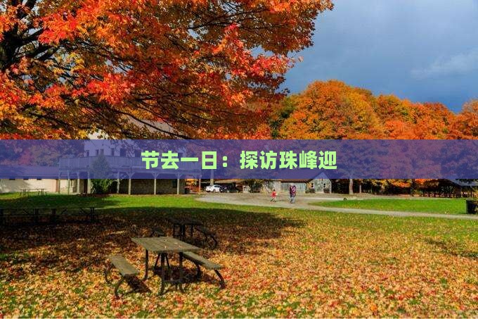 节去一日：探访珠峰迎