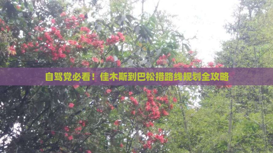 自驾党必看！佳木斯到巴松措路线规划全攻略