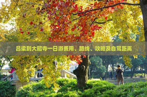 吕梁到大昭寺一日游费用、路线、攻略及自驾距离