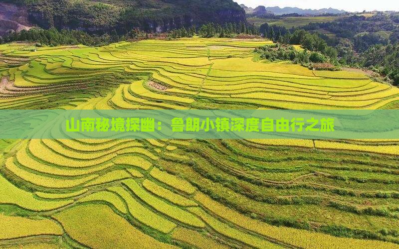 山南秘境探幽：鲁朗小镇深度自由行之旅