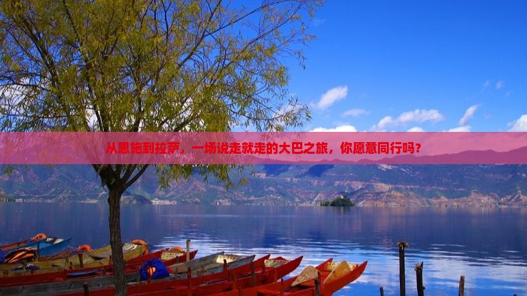 从恩施到拉萨，一场说走就走的大巴之旅，你愿意同行吗？